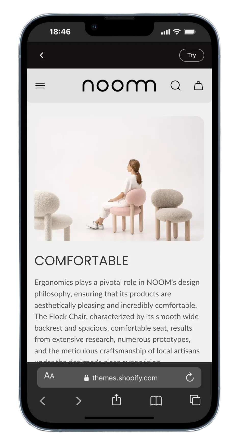 Boutique Theme Noom Preset - Modernes, vielseitiges Design